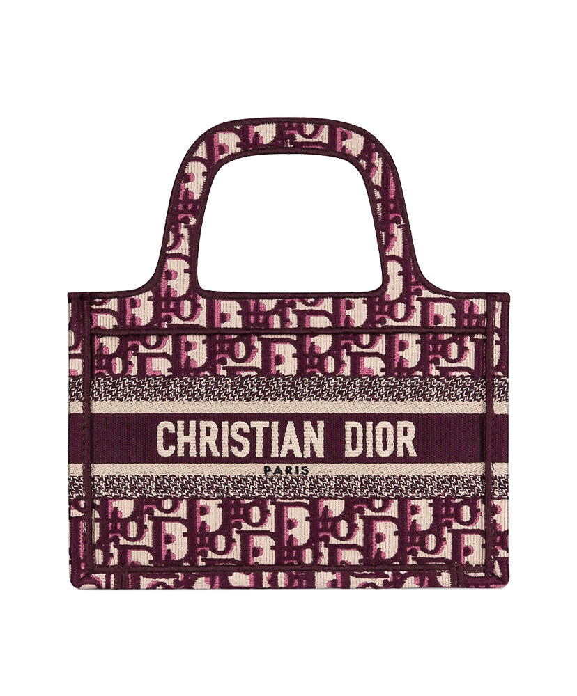 Сумка book tote. Сумка тоут Кристиан диор. Сумка Dior book Tote. Сумка Dior book Tote Mini. Сумка Christian Dior Oblique.